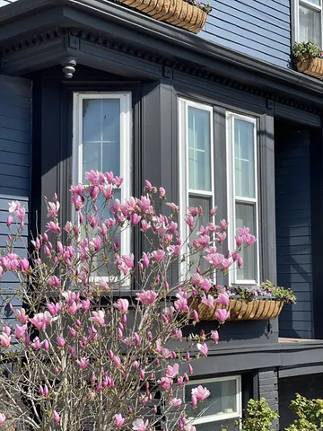 a front view of a house