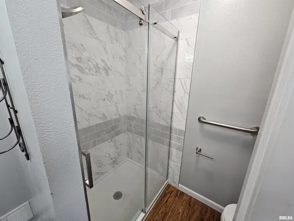 a bathroom with a shower and a toilet