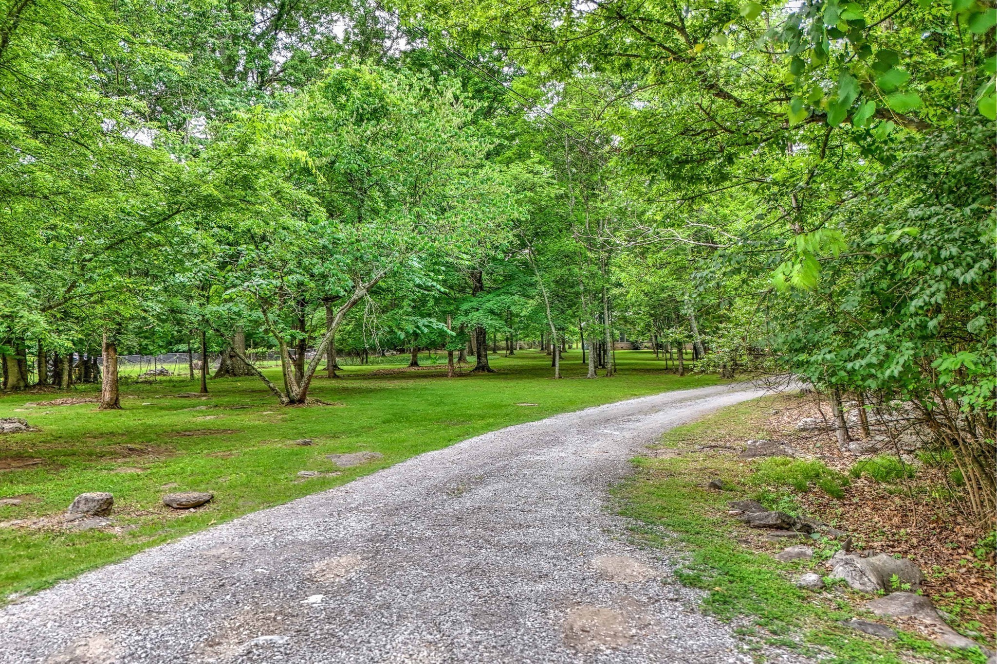 5544 South New Hope Road Hermitage, TN 37076 - Photo 31 of 62 a view of a park with large trees