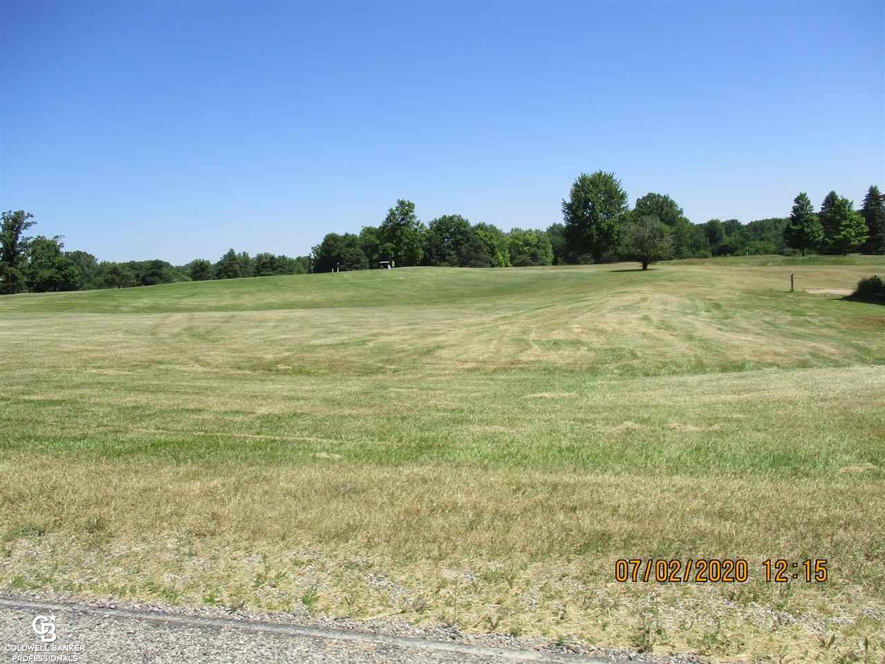 0 Belle River Road Memphis, MI 48041 - Photo 10 of 14