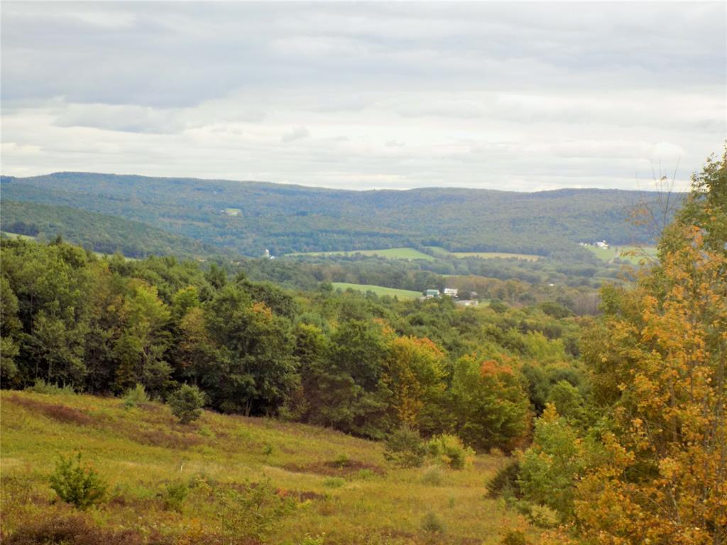 152 Doolittle Road Harpursville, NY 13787 - Photo 2 of 46 Gallery Image 2