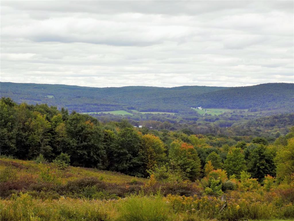 152 Doolittle Road Harpursville, NY 13787 - Photo 37 of 46 Gallery Image 37
