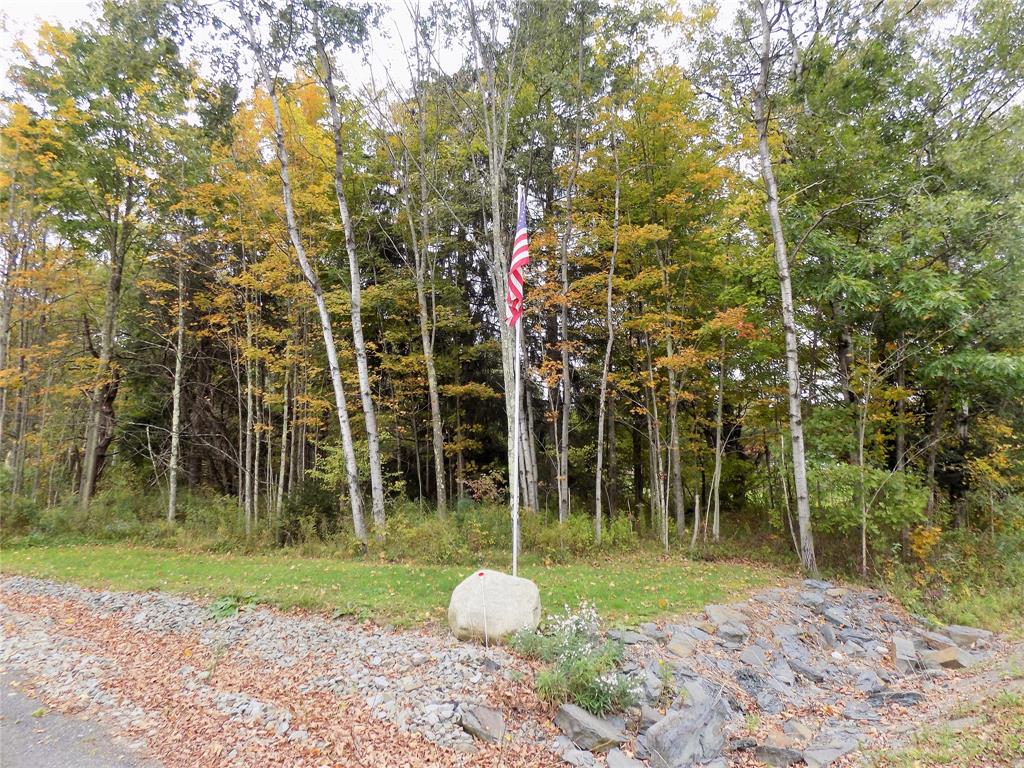 152 Doolittle Road Harpursville, NY 13787 - Photo 44 of 46 Gallery Image 44