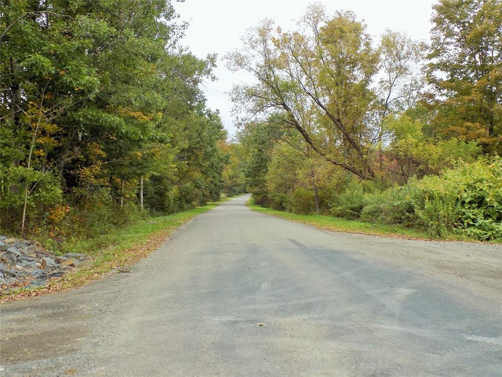 152 Doolittle Road Harpursville, NY 13787 - Photo 45 of 46 Gallery Image 45