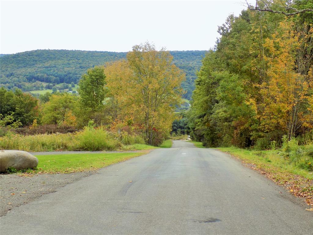 152 Doolittle Road Harpursville, NY 13787 - Photo 46 of 46 Gallery Image 46