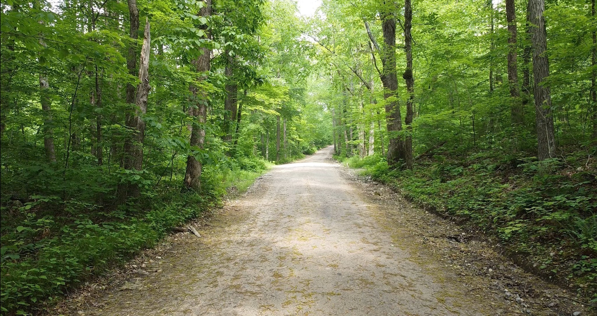 0 Patrill Hollow Road Hardwick, MA 01037 - Photo 3 of 24 Gallery Image 3