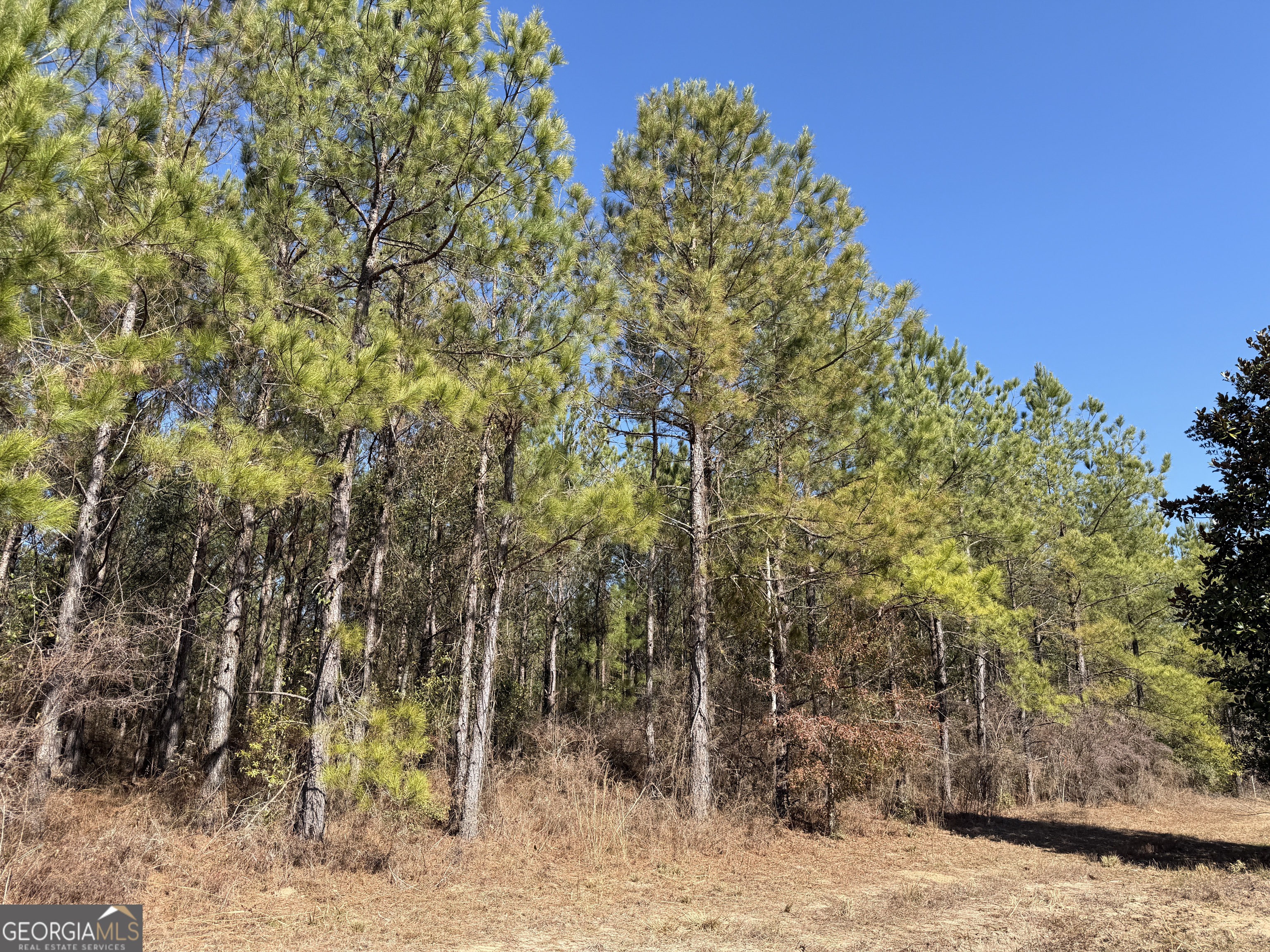 21 Barnes Road Gordon, AL 36343 - Photo 7 of 11