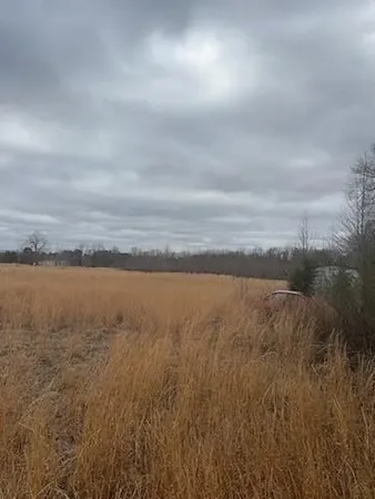 a view of an ocean and beach