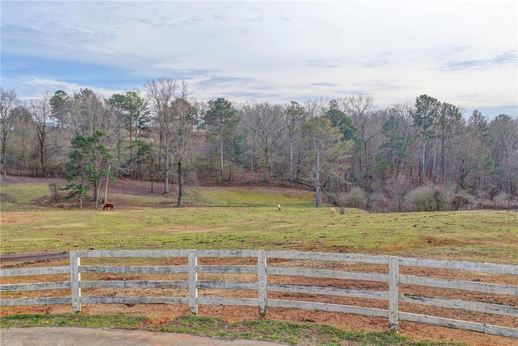 9235 Old Federal Road Ball Ground, GA 30107 - Photo 39 of 52