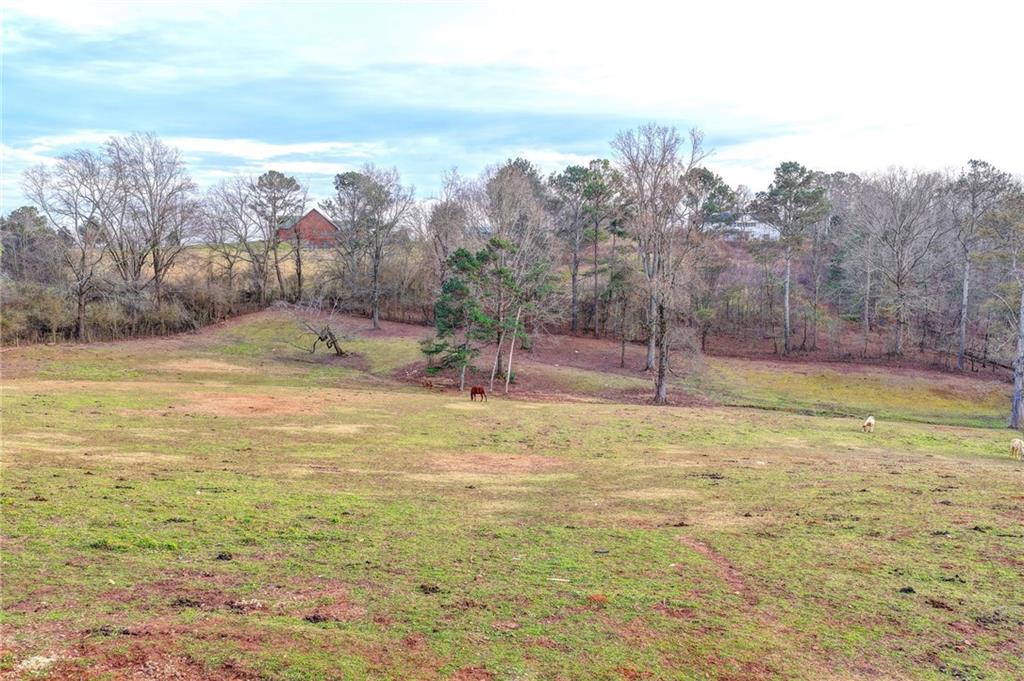 9235 Old Federal Road Ball Ground, GA 30107 - Photo 40 of 52