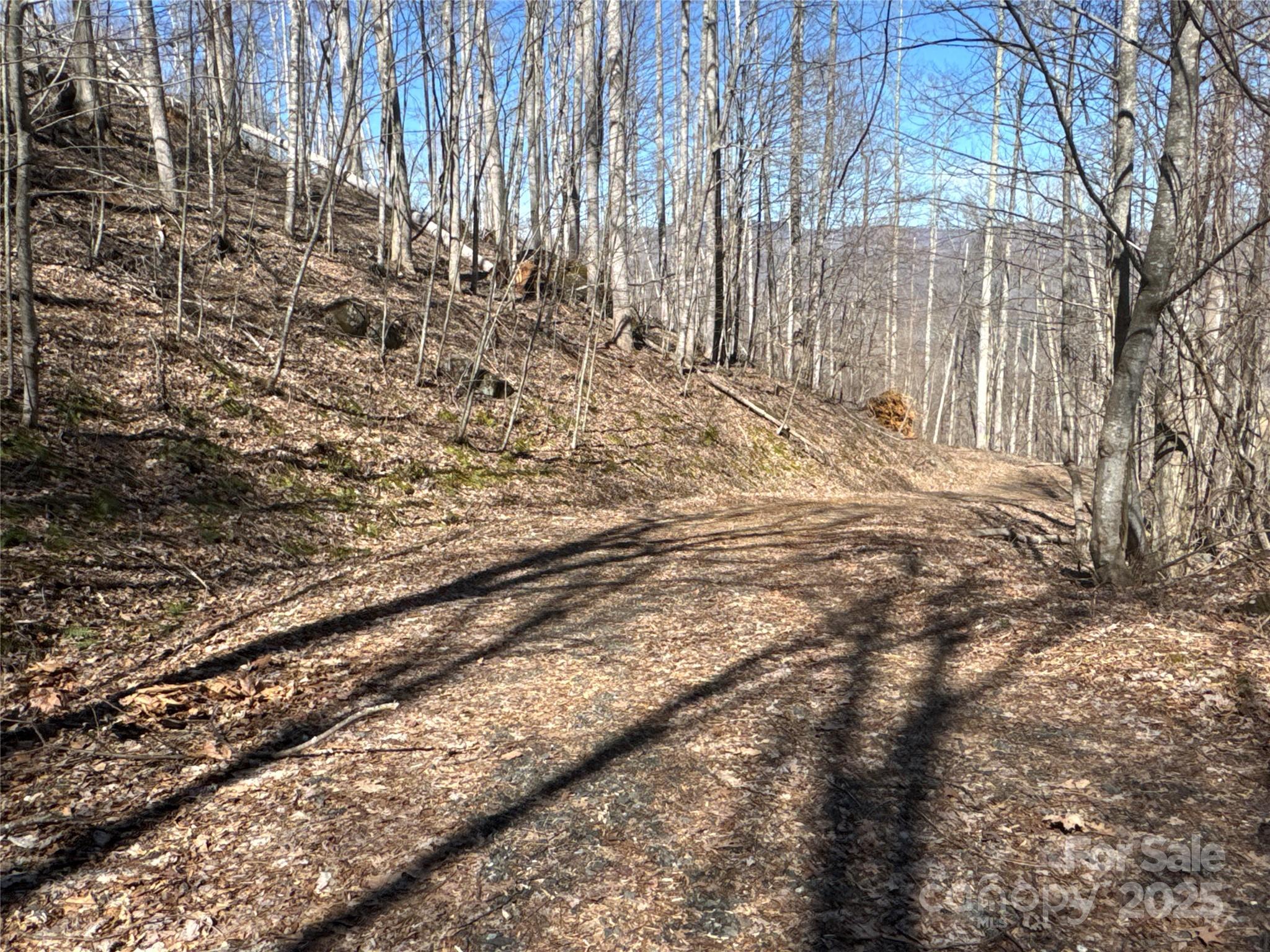 0 Debbies Loop, Unit 37 Bakersville, NC 28705 - Photo 2 of 15 a view of a yard with trees