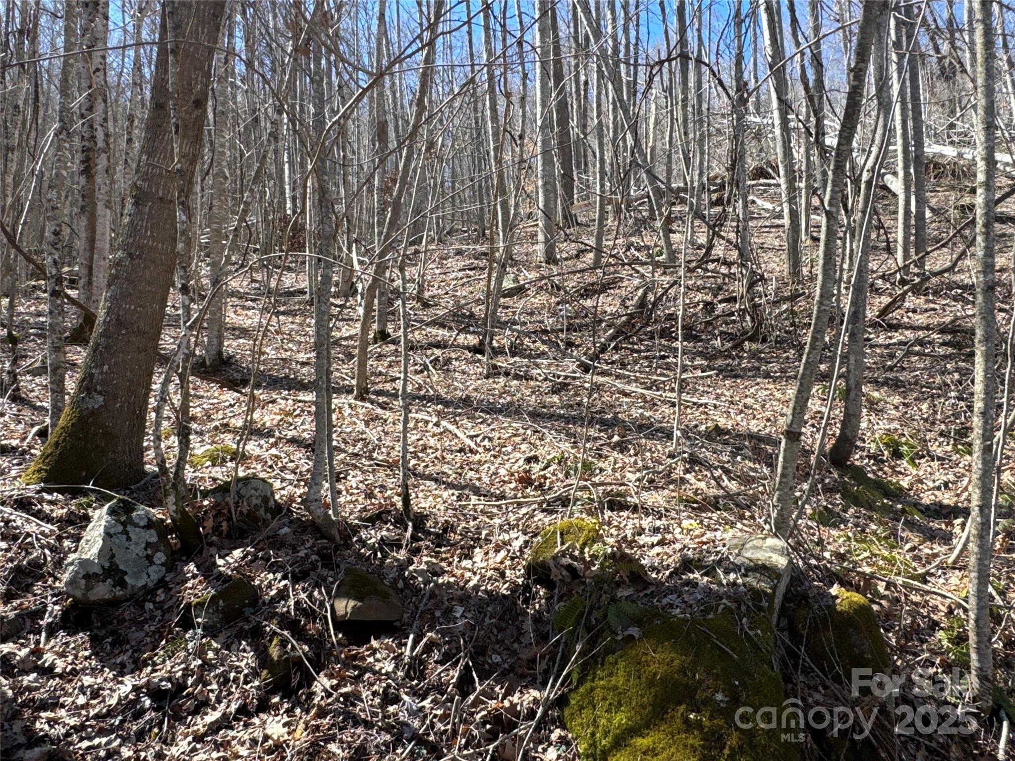 0 Debbies Loop, Unit 37 Bakersville, NC 28705 - Photo 4 of 15 a view of yard