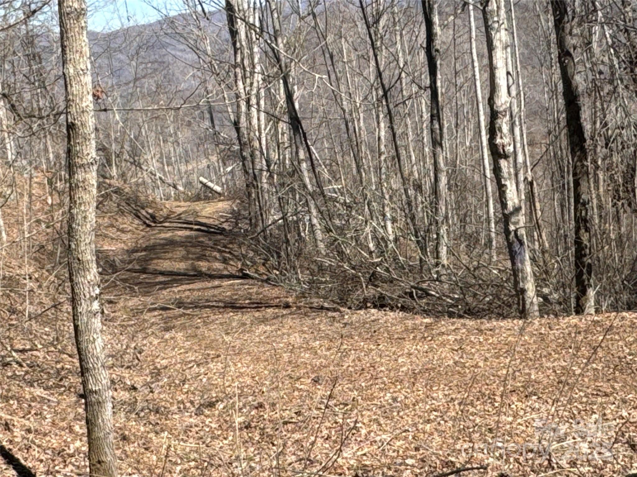 0 Debbies Loop, Unit 37 Bakersville, NC 28705 - Photo 5 of 15 a view of snow covered with snow in the background