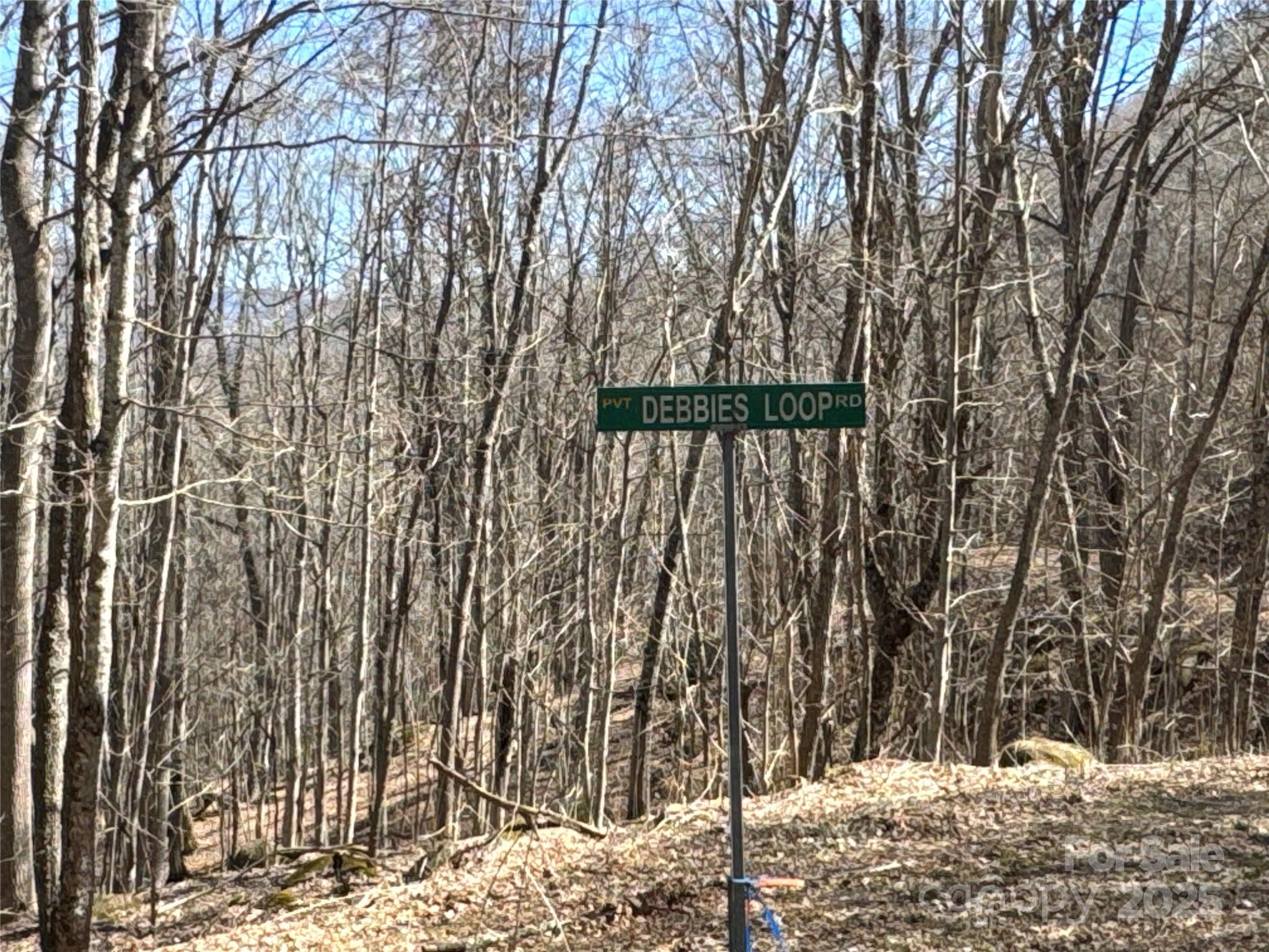 0 Debbies Loop, Unit 37 Bakersville, NC 28705 - Photo 6 of 15 a view of outdoor space with wooden fence