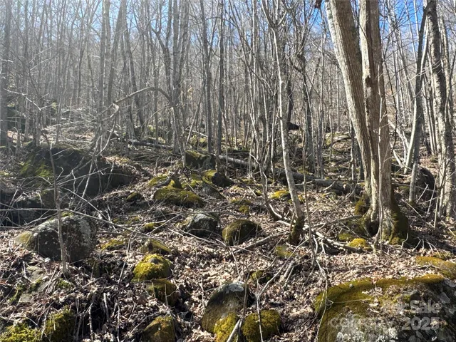 a view of a yard with plants and wooden fence