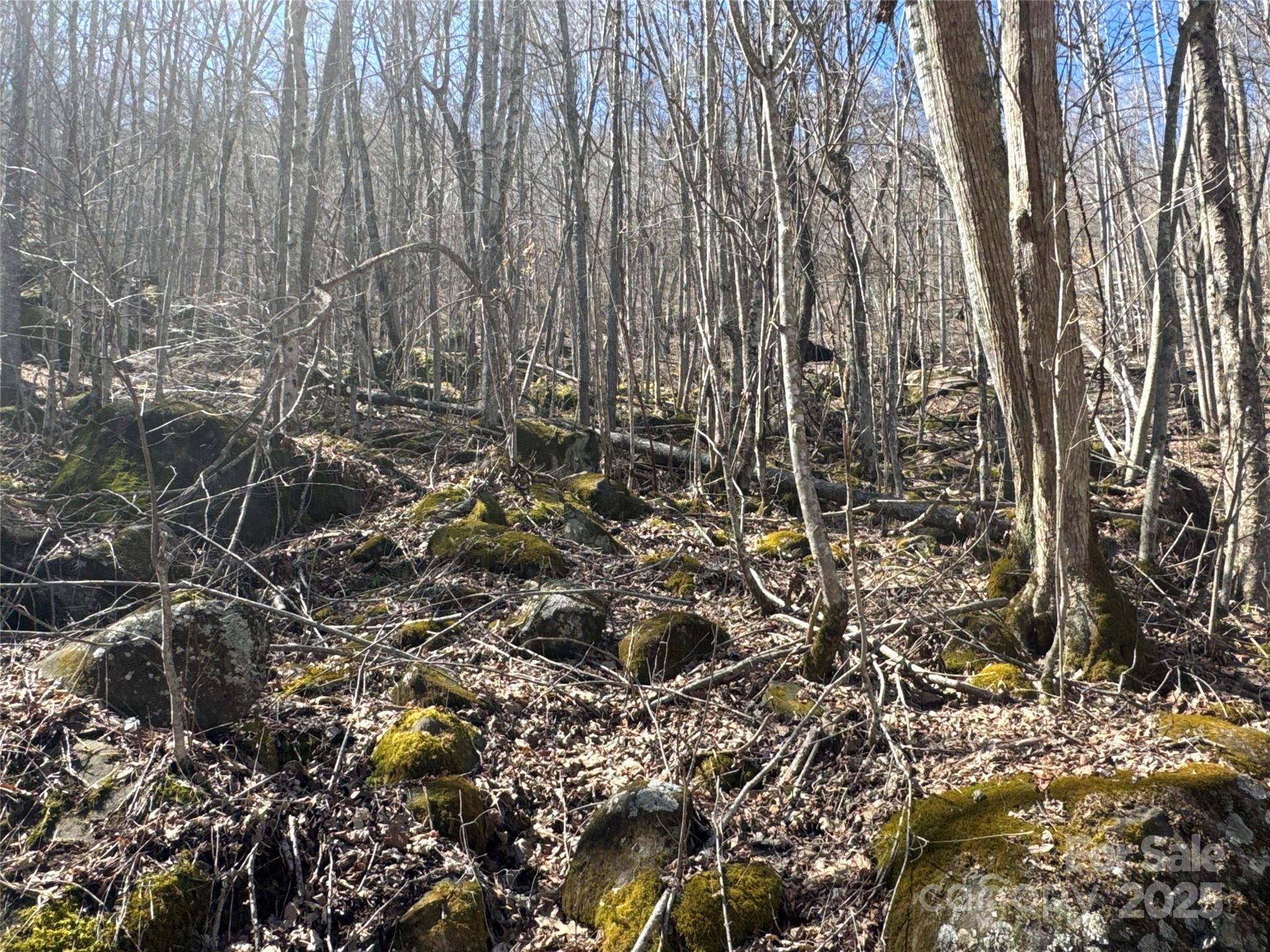 0 Debbies Loop, Unit 37 Bakersville, NC 28705 - Photo 7 of 15 a view of a yard with plants and wooden fence