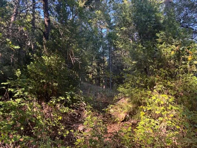 $72,500 | 2936 Independence Road, Mokelumne Hill, CA 95245