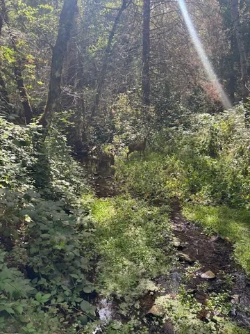 $72,500 | 2936 Independence Road, Mokelumne Hill, CA 95245