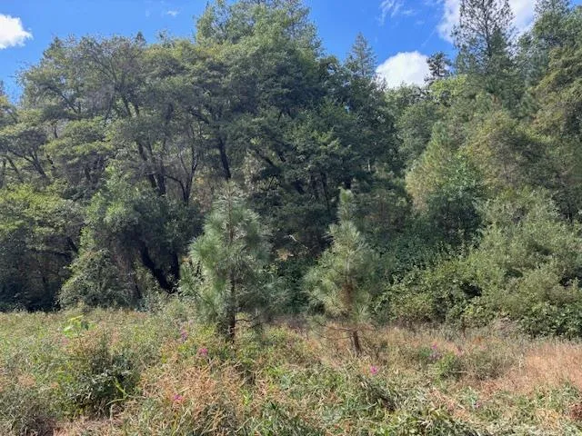 $72,500 | 2936 Independence Road, Mokelumne Hill, CA 95245