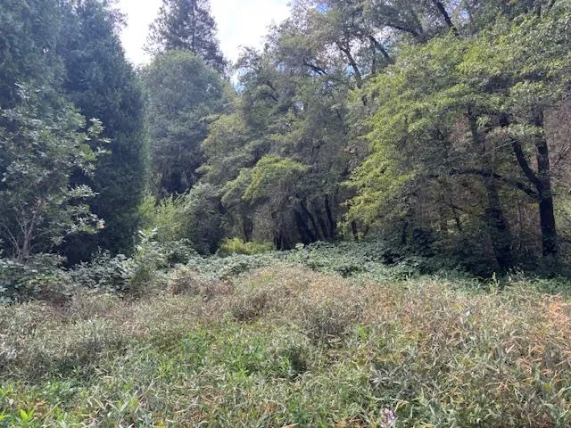 $72,500 | 2936 Independence Road, Mokelumne Hill, CA 95245