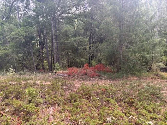 $72,500 | 2936 Independence Road, Mokelumne Hill, CA 95245