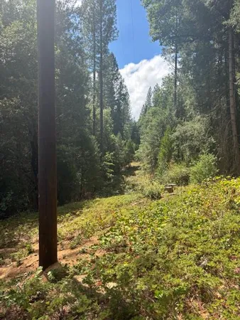 a view of outdoor space and garden