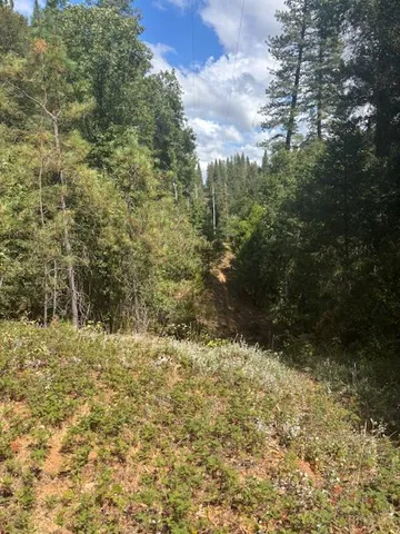 $72,500 | 2936 Independence Road, Mokelumne Hill, CA 95245