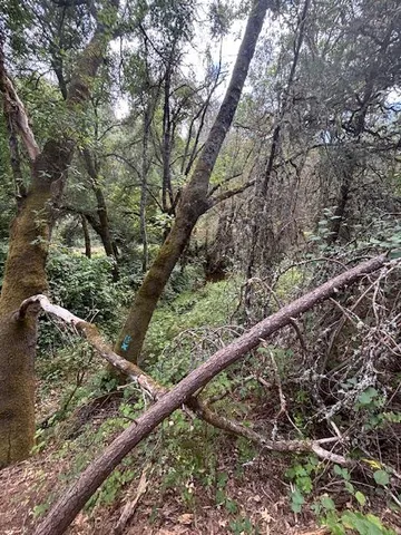 $72,500 | 2936 Independence Road, Mokelumne Hill, CA 95245