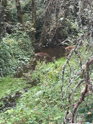 $72,500 | 2936 Independence Road, Mokelumne Hill, CA 95245