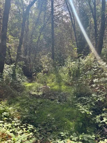 $72,500 | 2936 Independence Road, Mokelumne Hill, CA 95245