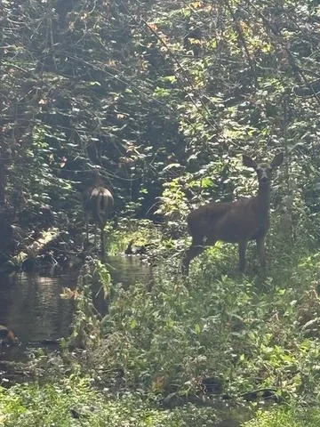 $72,500 | 2936 Independence Road, Mokelumne Hill, CA 95245