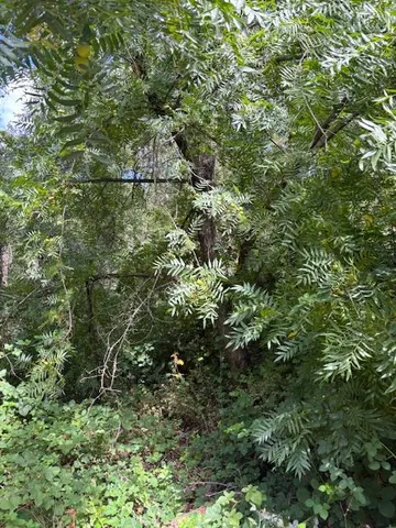 $72,500 | 2936 Independence Road, Mokelumne Hill, CA 95245