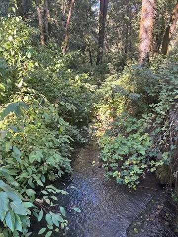 $72,500 | 2936 Independence Road, Mokelumne Hill, CA 95245