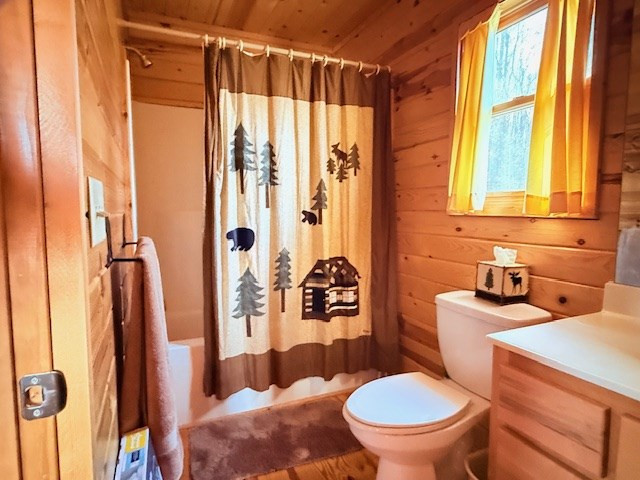 745 Buck Ridge Drive Murphy, NC 28906 - Photo 20 of 54