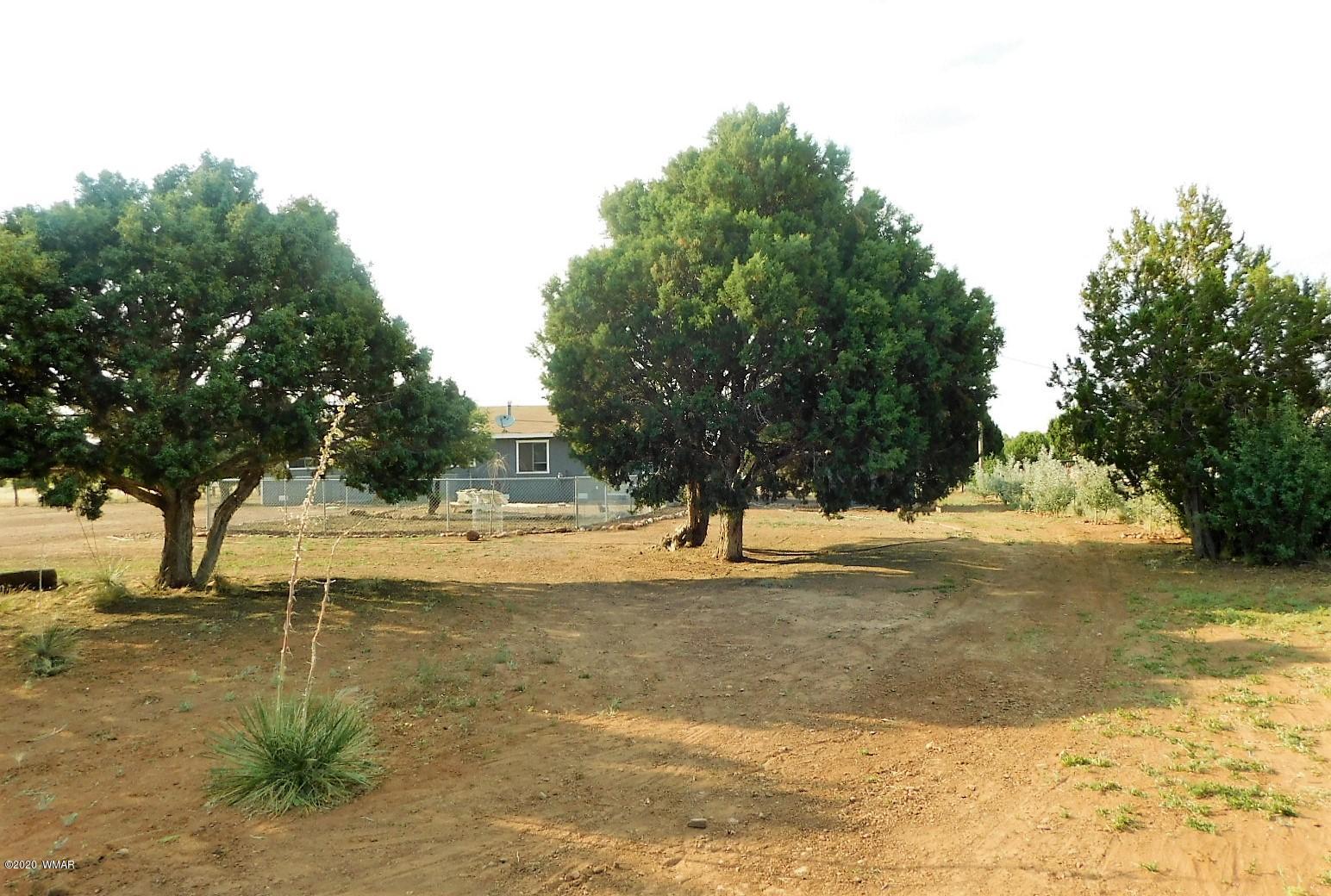4703 Sawmill Road Clay Springs, AZ 85923 - Photo 19 of 23 Gallery Image 19