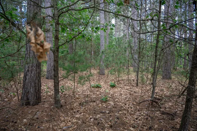 $214,900 | N9351 Juneau Lane, Necedah, WI 54646