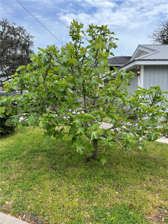 509 Atlantic Drive St. Simons Island, GA 31522 - Photo 39 of 50
