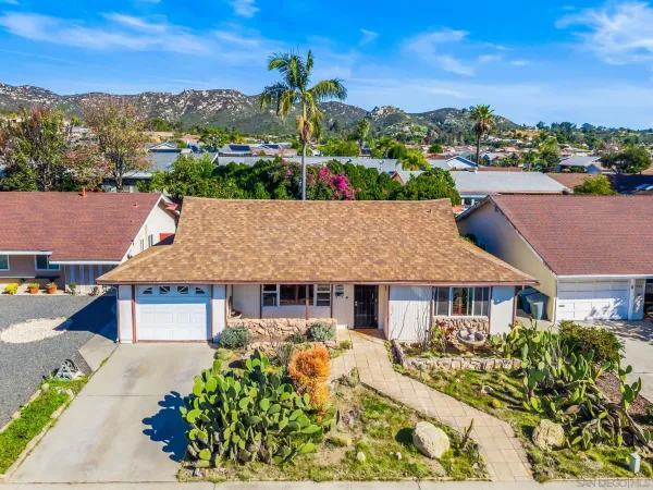 an aerial view of a house with a yard potted plants and large tree