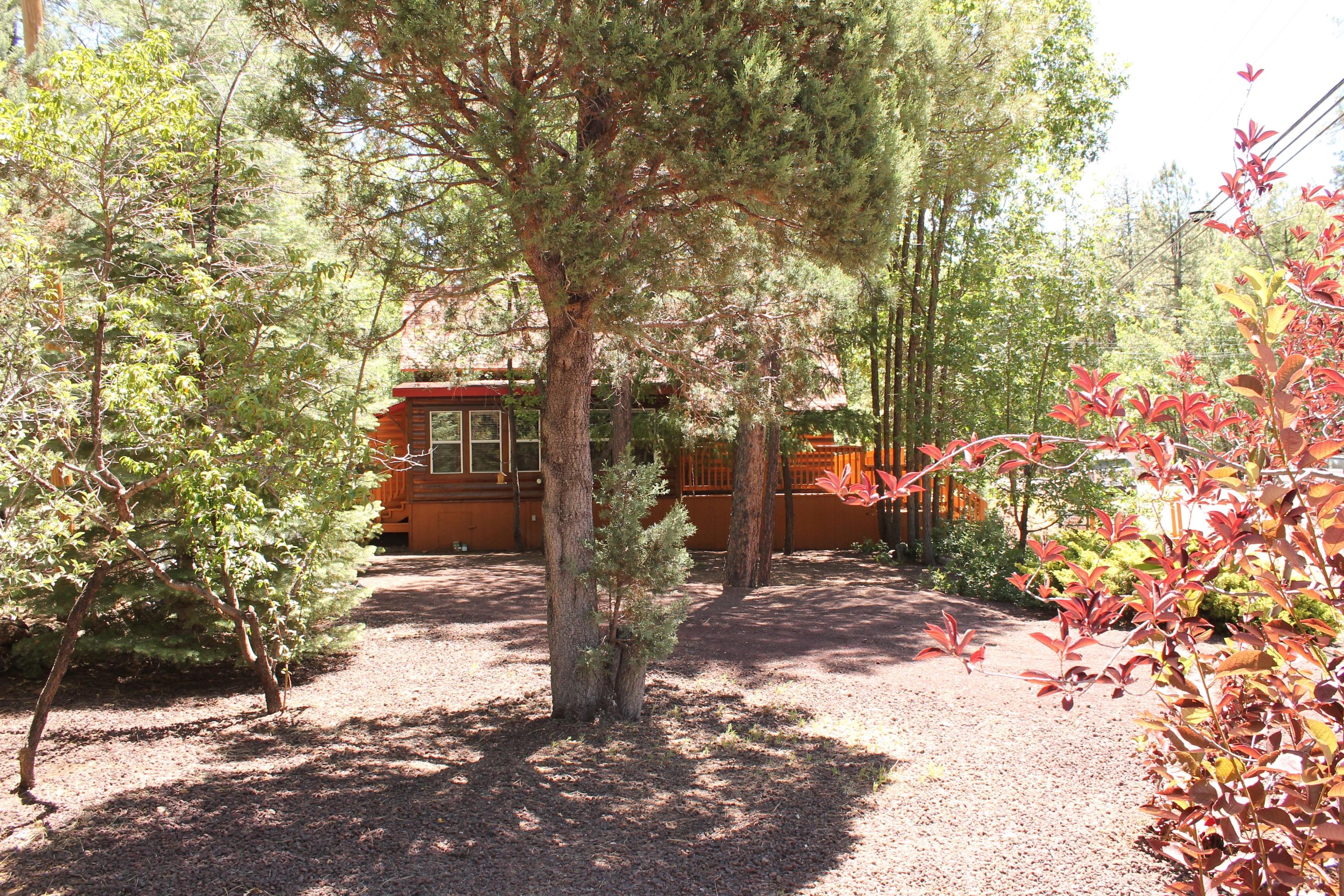 1540 East Rim Road Pinetop, AZ 85935 - Photo 3 of 33 Gallery Image 3