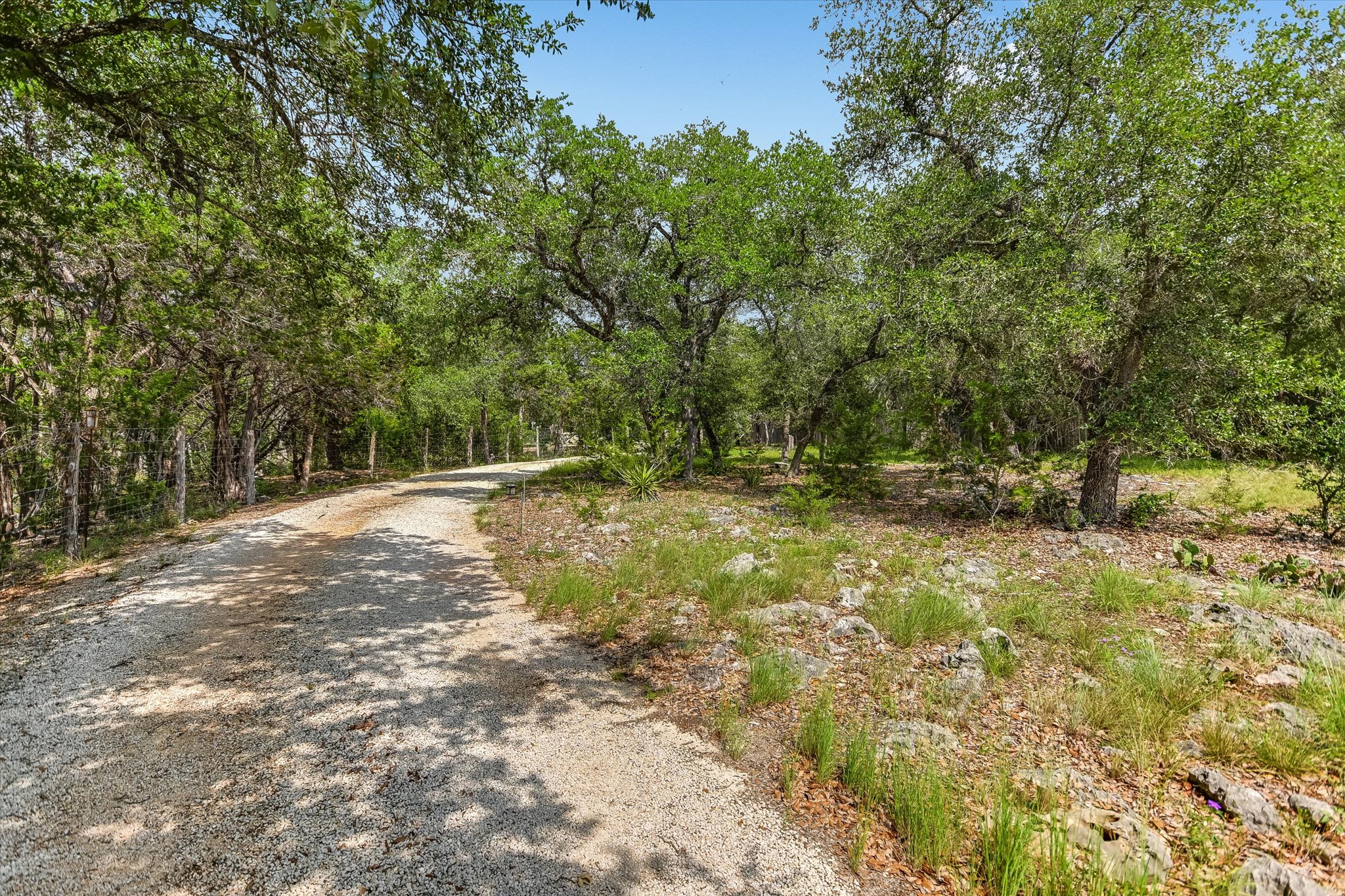 700 Cliffside Road Wimberley, TX 78676 - Photo 21 of 22 Gravel driveway surrounded by mature trees, natural vegetation, and scattered rock formations