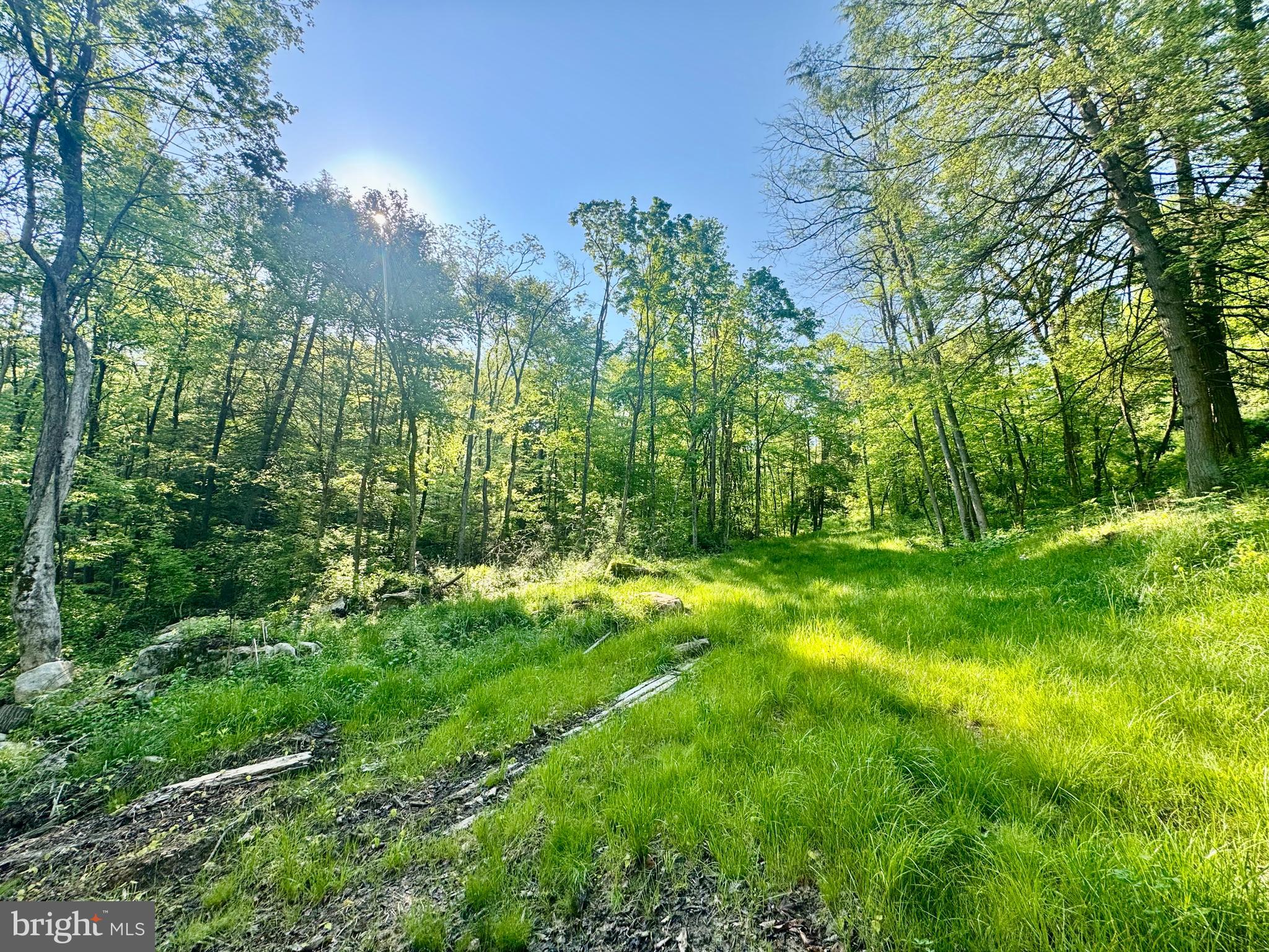 Tract B John Orr Road Independence, WV 26374 - Photo 6 of 30