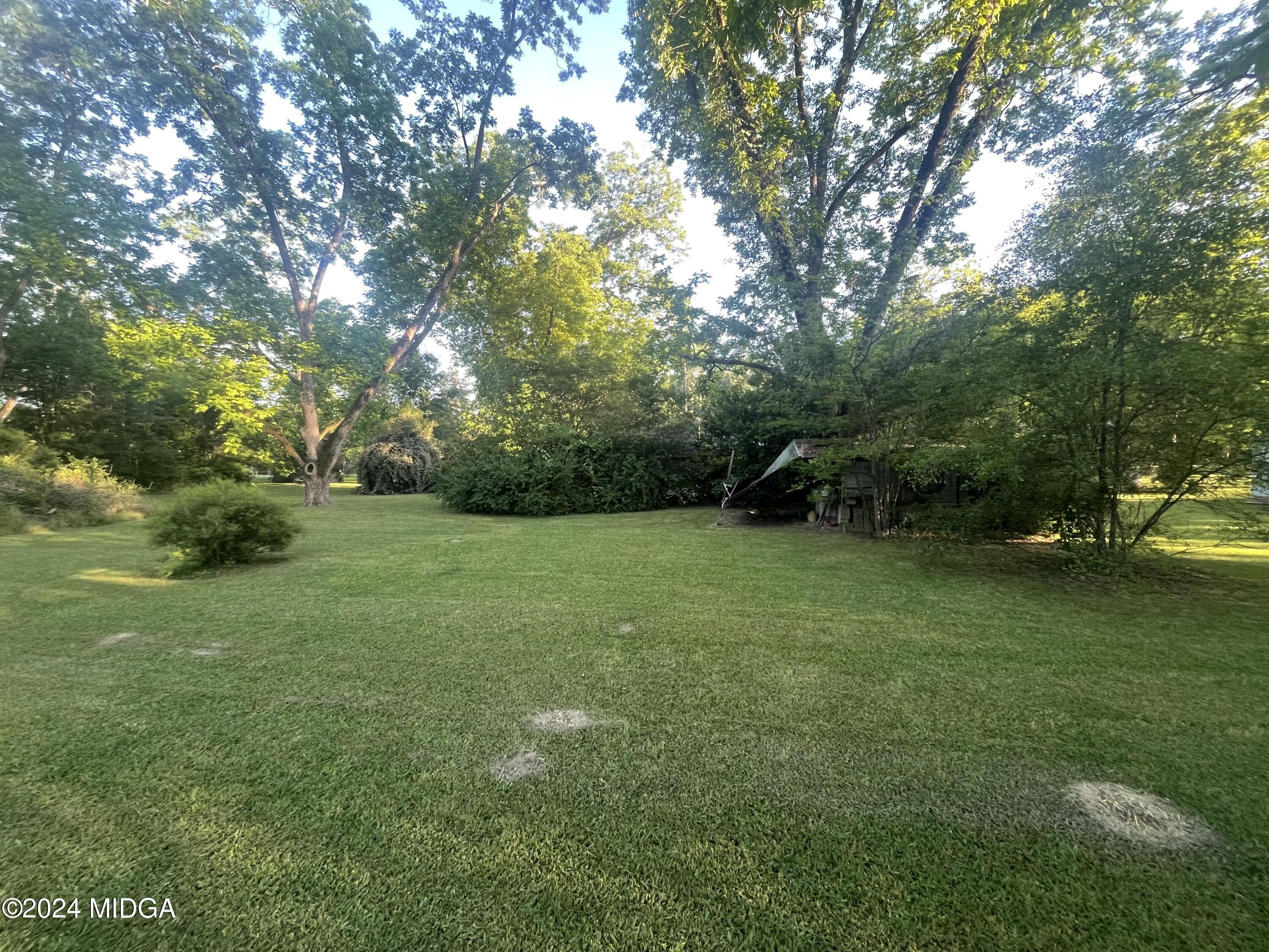 3721 South Walden Road Macon, GA 31216 - Photo 10 of 36 Rear yard