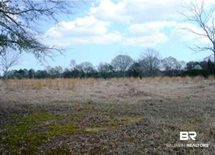 6010 Ranch Loop Road East Grand Bay, AL 36541 - Photo 9 of 9