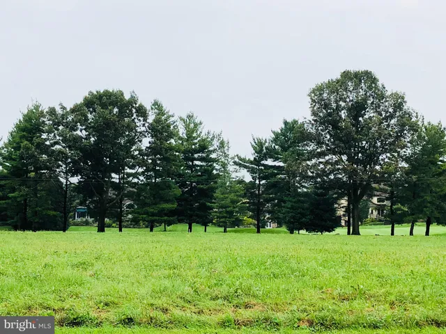 a green field with lots of trees in it