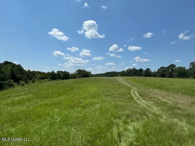 $305,500 | 0 East Burt Loop Road, Crystal Springs, MS 39059