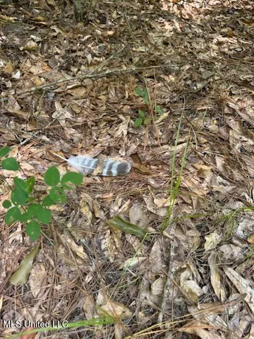 $305,500 | 0 East Burt Loop Road, Crystal Springs, MS 39059