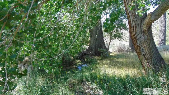 a view of backyard of house with green space