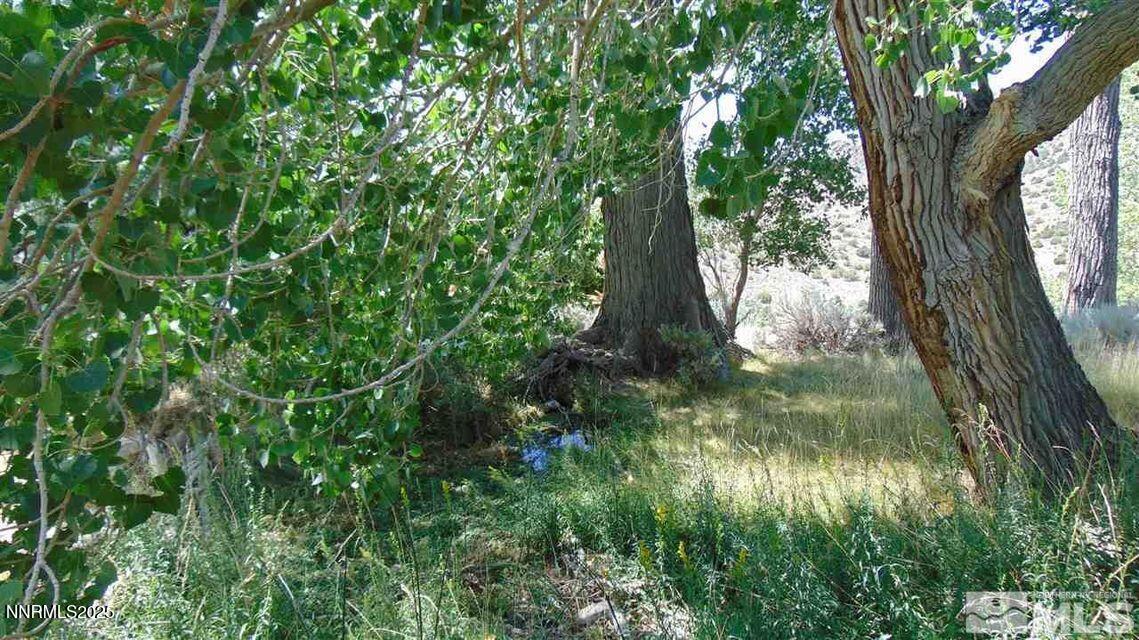 a view of backyard of house with green space