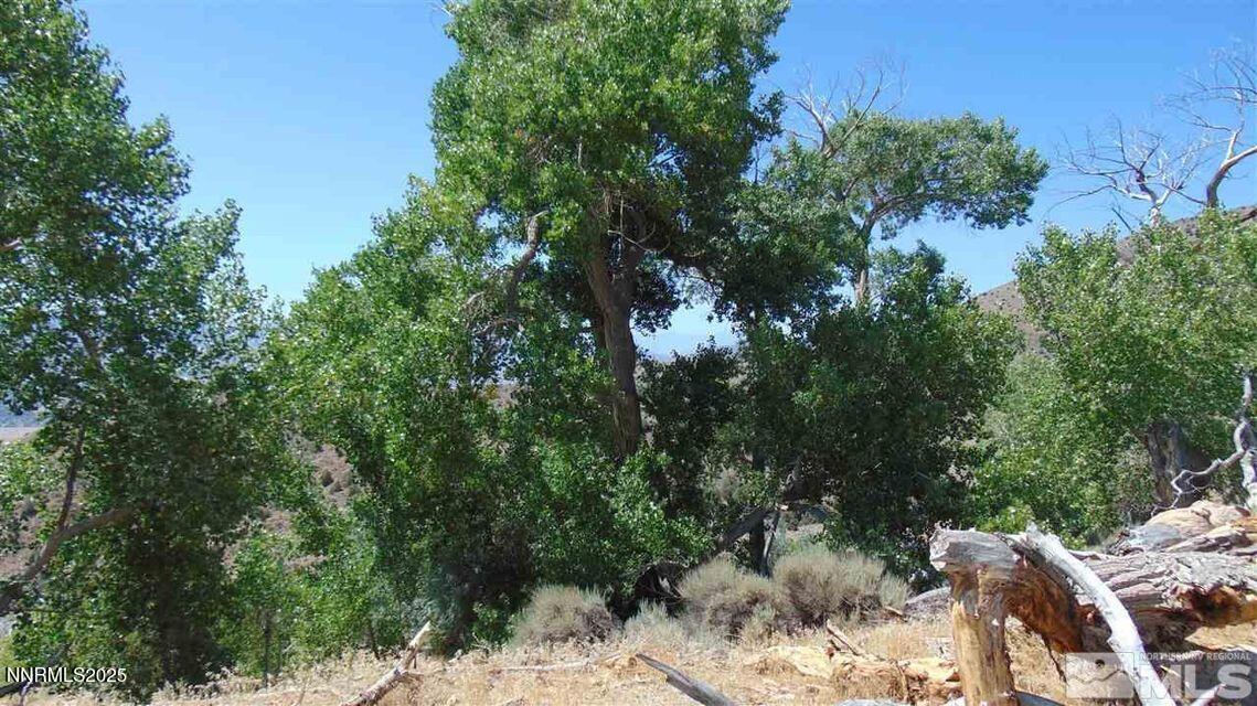 429110 Sutro Springs Road, Unit 429110 Dayton, NV 89403 - Photo 11 of 12 a view of an outdoor space and a yard
