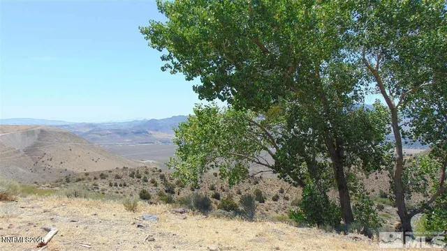 a view of a dry yard with trees